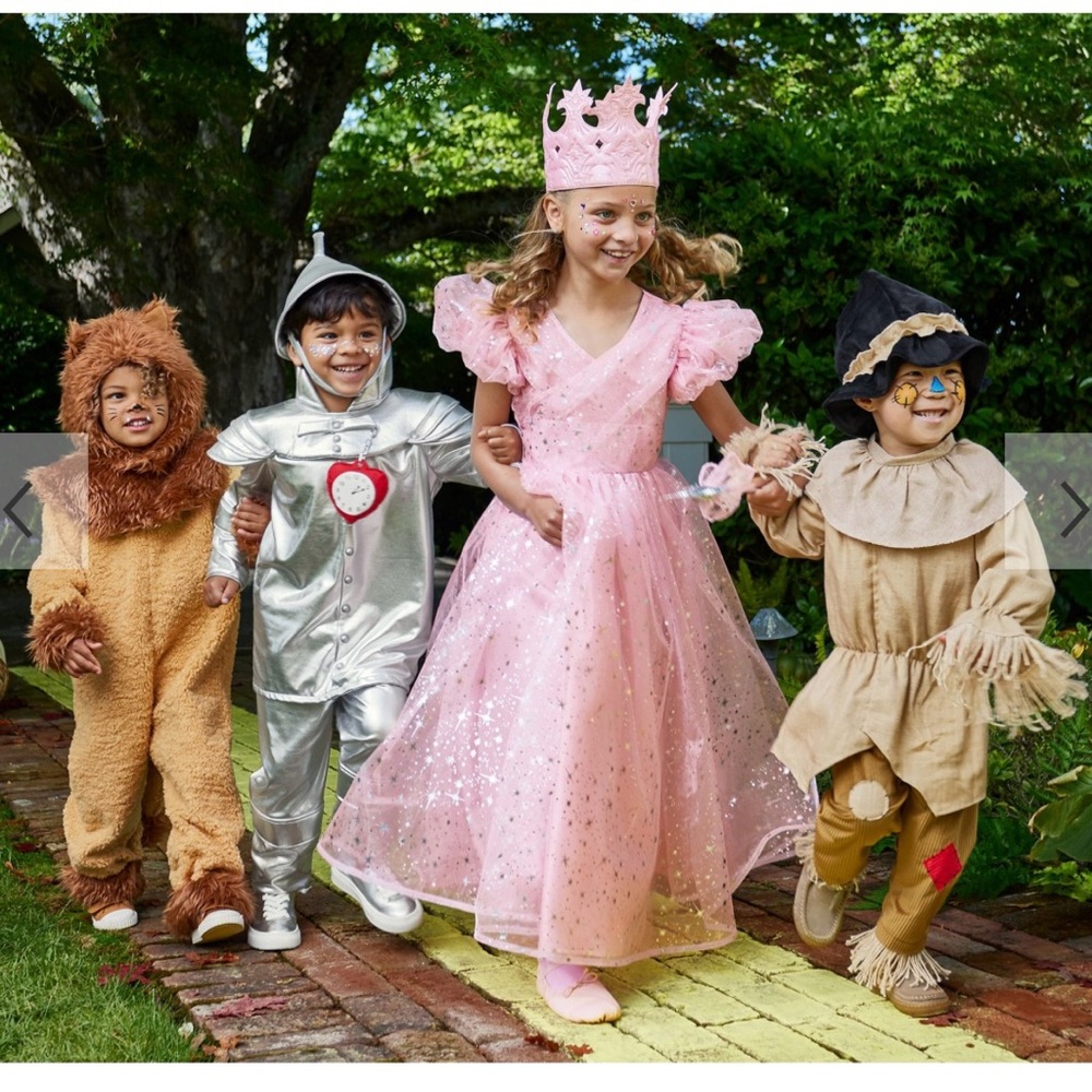 Wizard of Oz Kids Scarecrow Costume - PBK - Picture 8 of 13